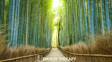 Total Frequency Shift Program Join me for a year of Renewal and Self-transformation